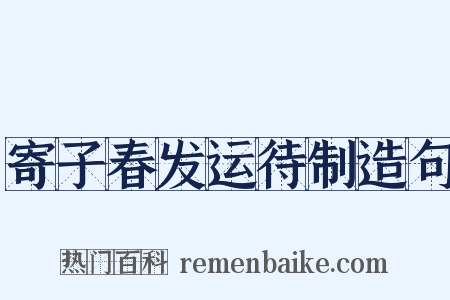寄子春发运待制造句是什么意思的图片